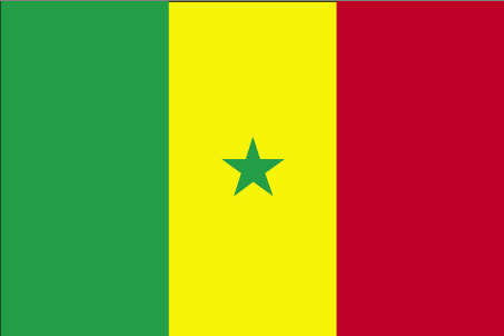Senegal Bayrağı 