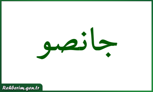 Cansu İsminin Arapça Yazılışı