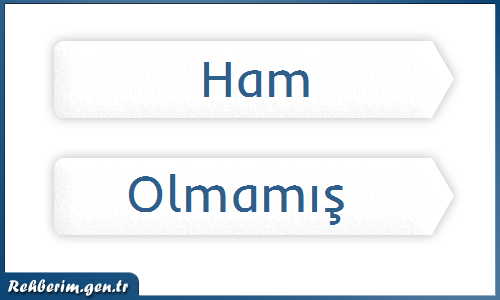 ham nedir ne demek