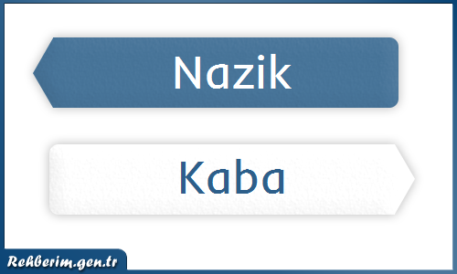 nazik nedir ne demek