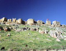 Bayburt Kalesi