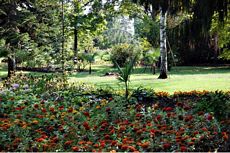 Karaca Arboretum Canlı Ağaç Müzesi